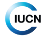 Morocco Logo